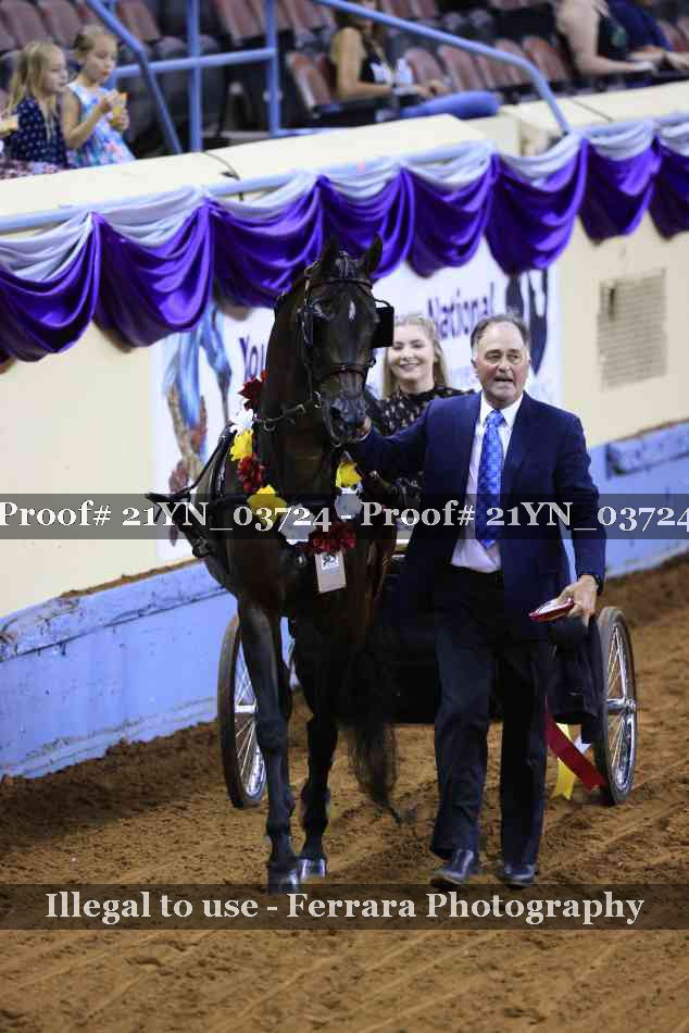 Proof 21YN_03724