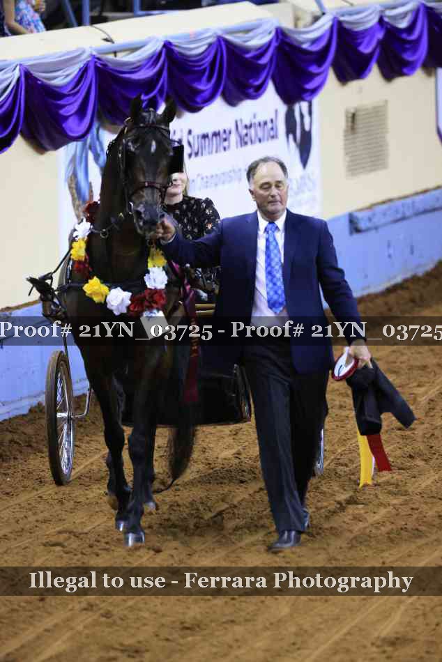 Proof 21YN_03725