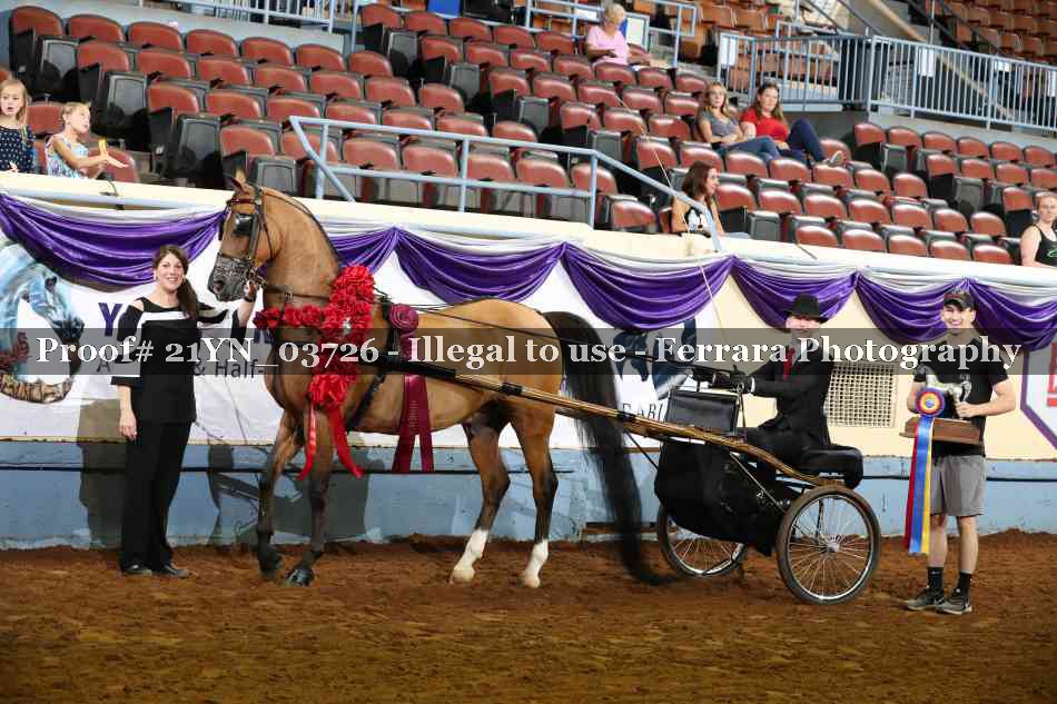 Proof 21YN_03726