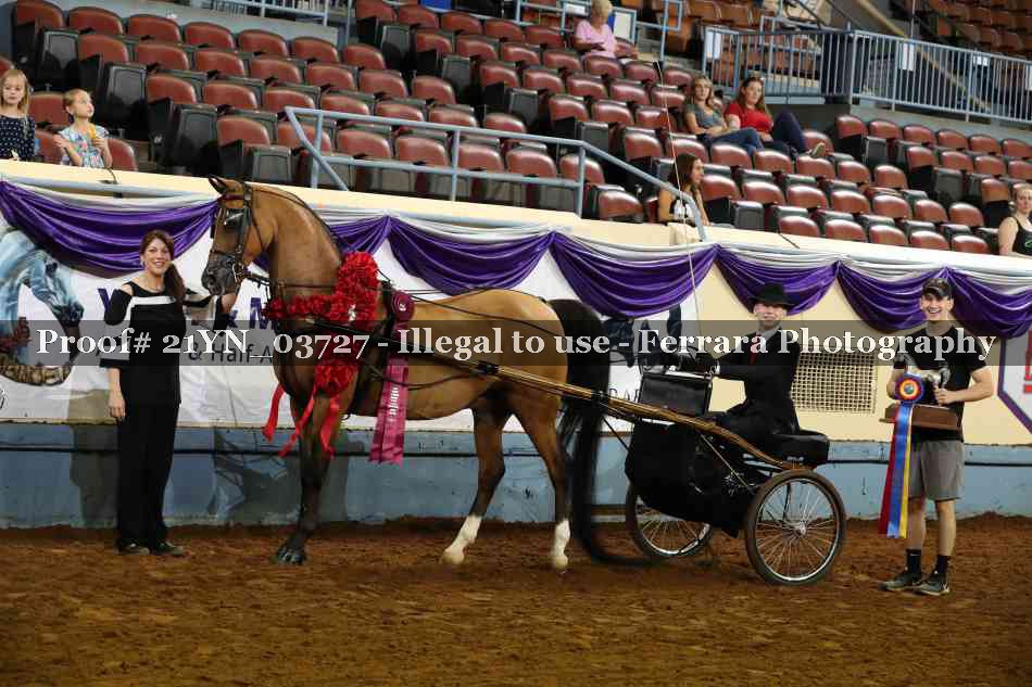Proof 21YN_03727