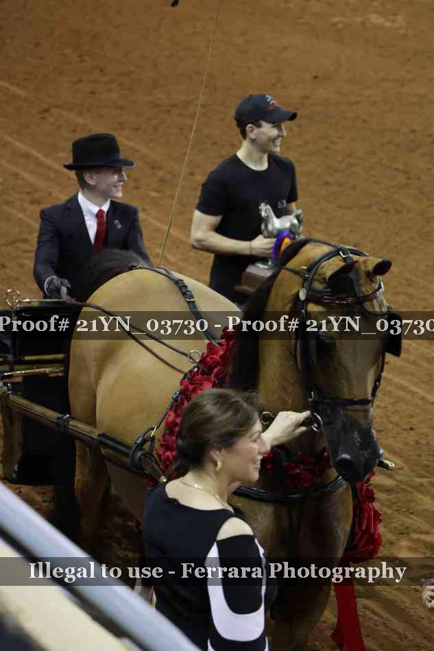 Proof 21YN_03730