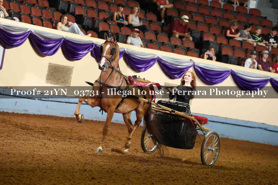 Proof 21YN_03731
