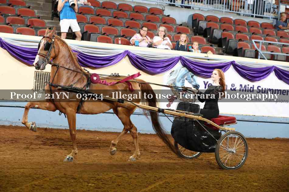 Proof 21YN_03734