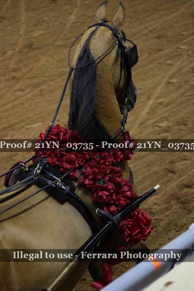 Proof 21YN_03735