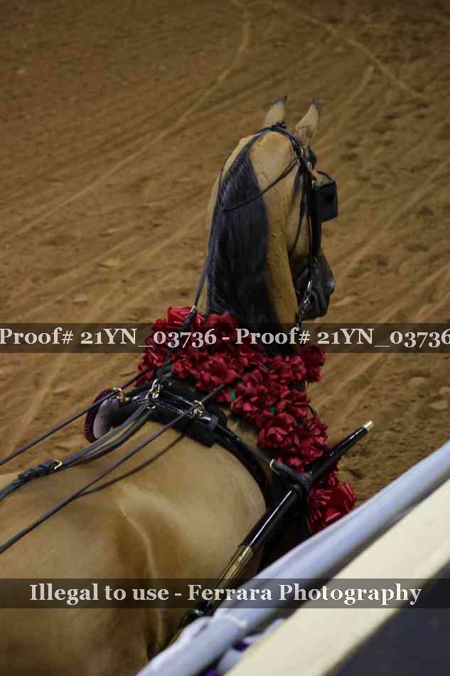 Proof 21YN_03736