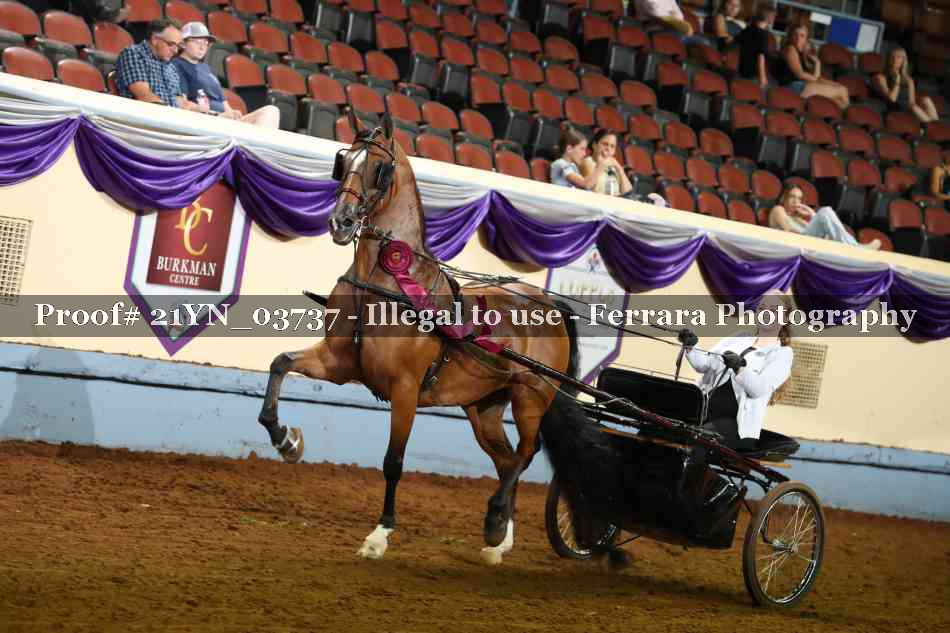 Proof 21YN_03737