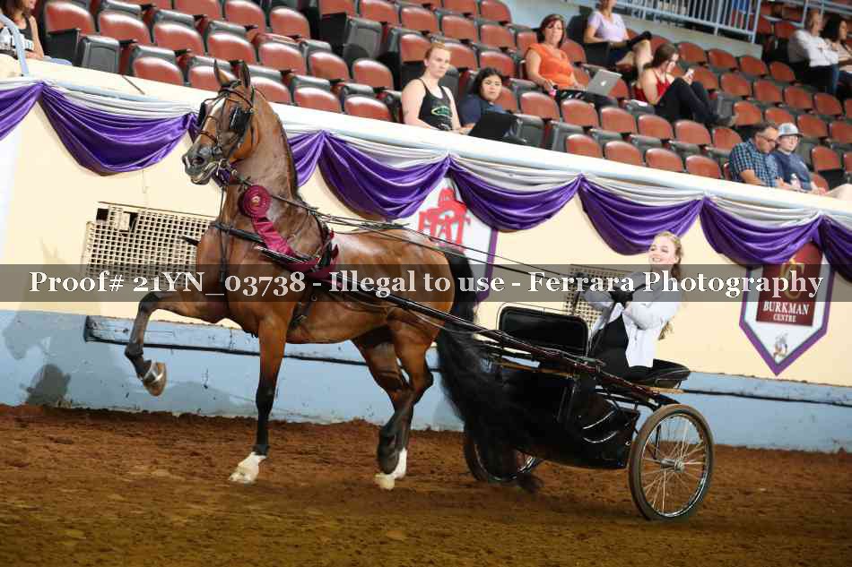 Proof 21YN_03738
