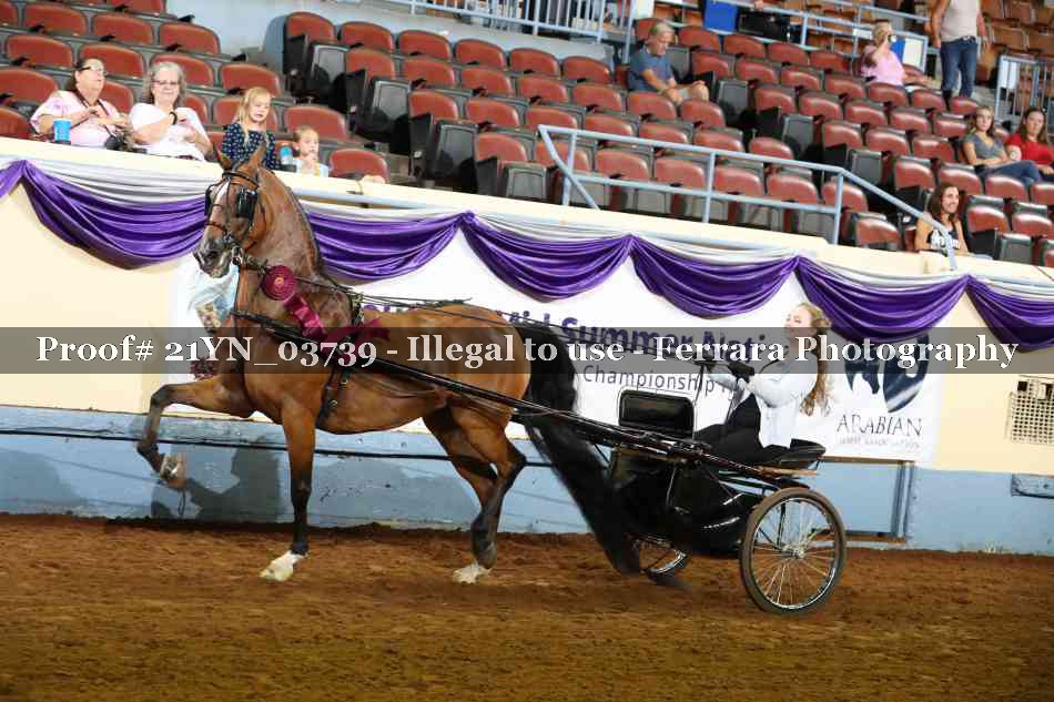 Proof 21YN_03739