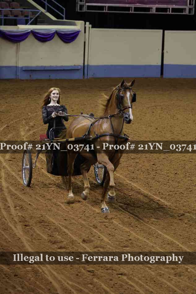 Proof 21YN_03741