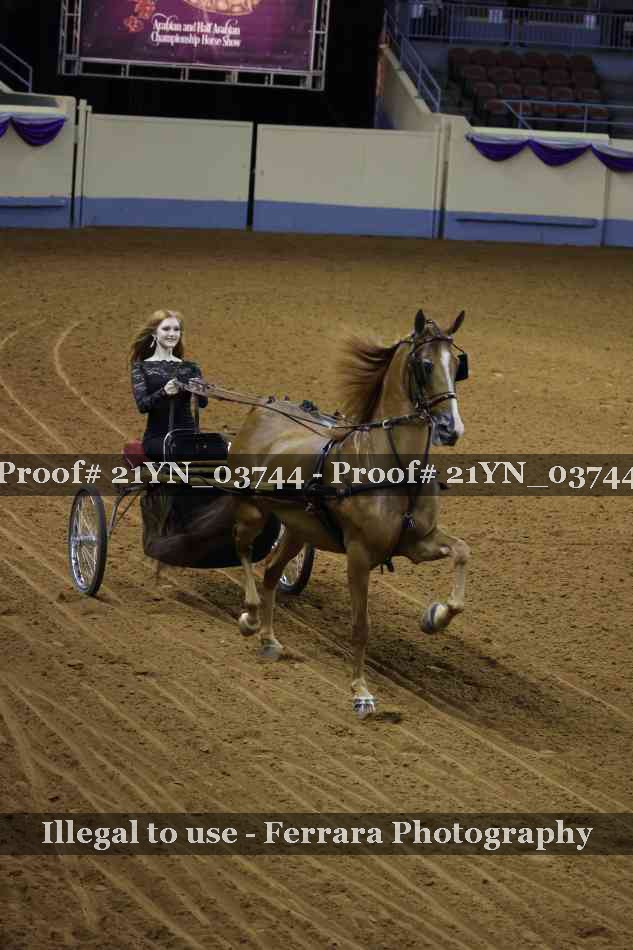 Proof 21YN_03744