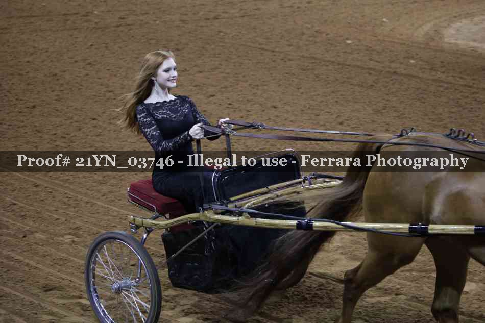 Proof 21YN_03746