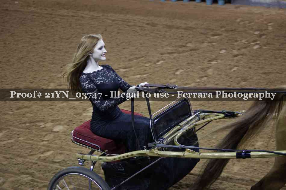 Proof 21YN_03747