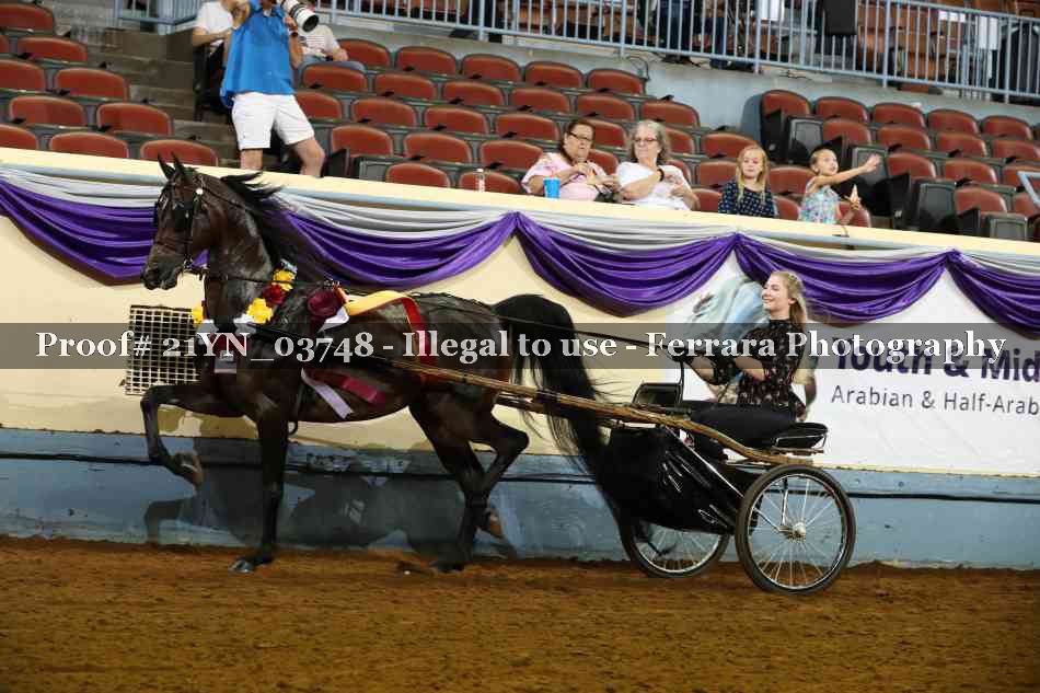 Proof 21YN_03748