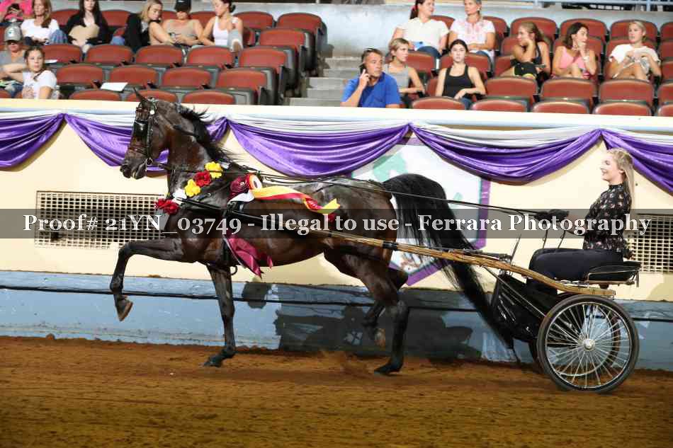 Proof 21YN_03749