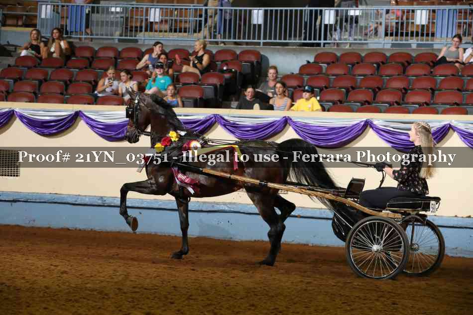 Proof 21YN_03751