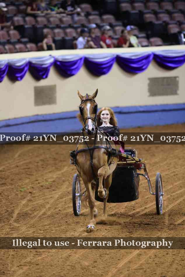Proof 21YN_03752