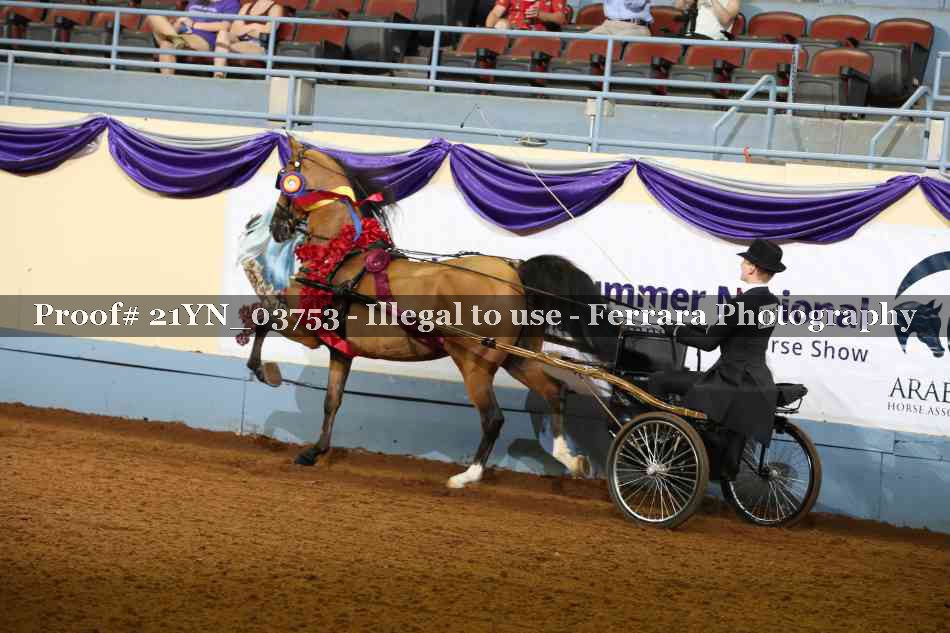 Proof 21YN_03753
