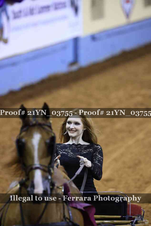 Proof 21YN_03755