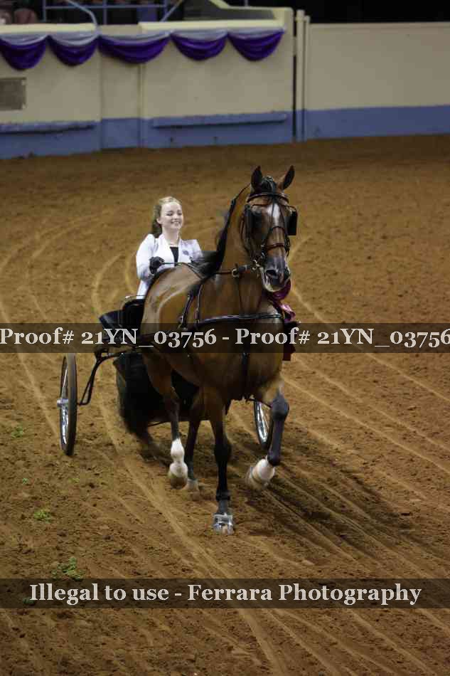 Proof 21YN_03756