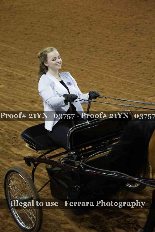 Proof 21YN_03757
