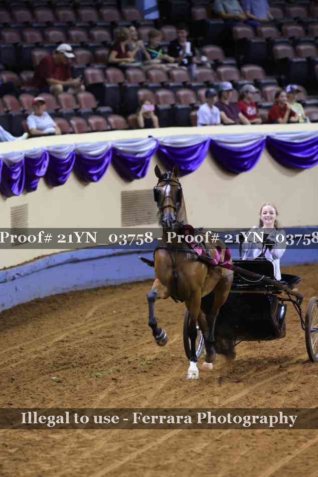 Proof 21YN_03758