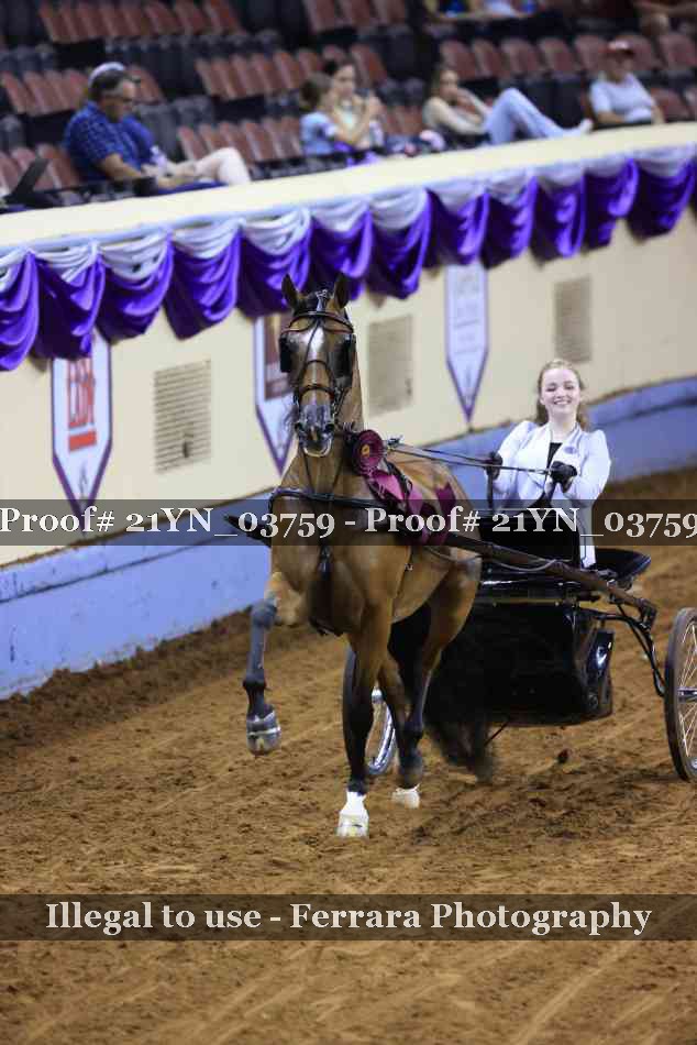 Proof 21YN_03759