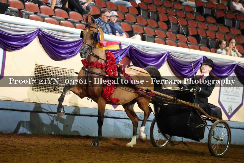 Proof 21YN_03761