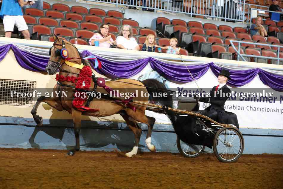 Proof 21YN_03763