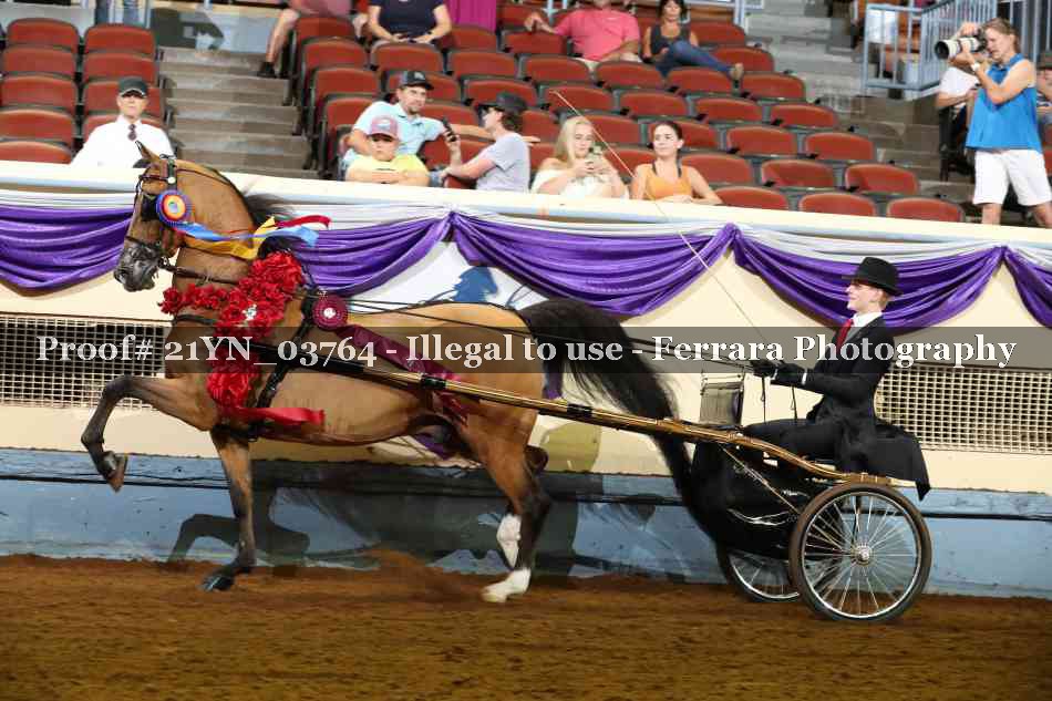 Proof 21YN_03764