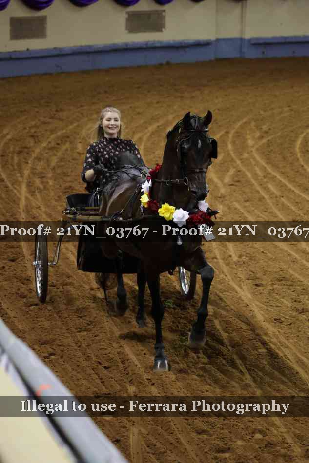 Proof 21YN_03767