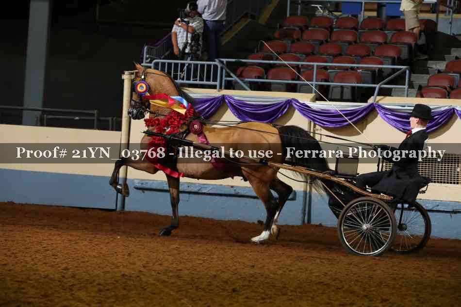 Proof 21YN_03768