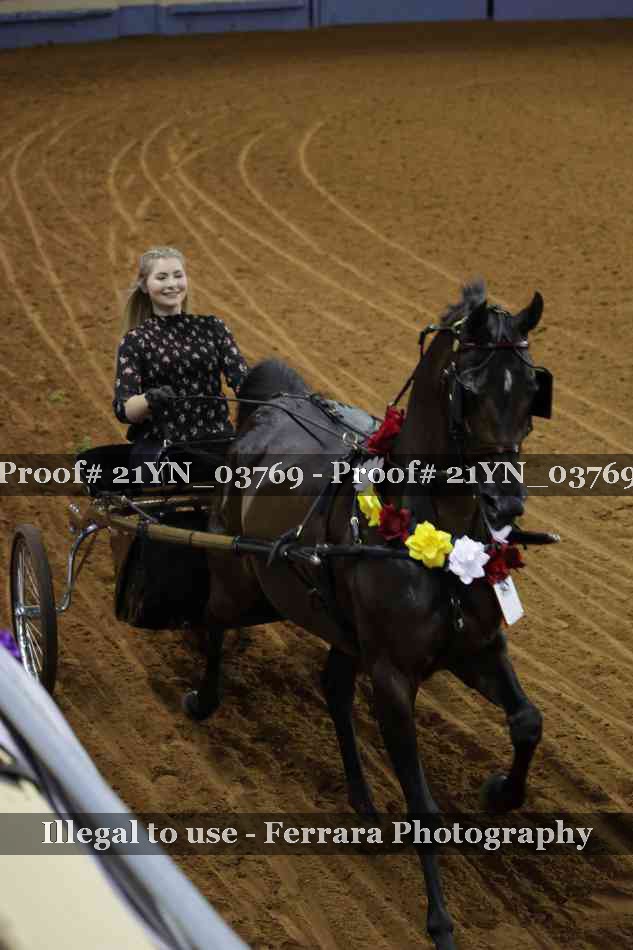 Proof 21YN_03769