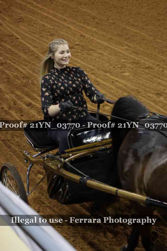Proof 21YN_03770