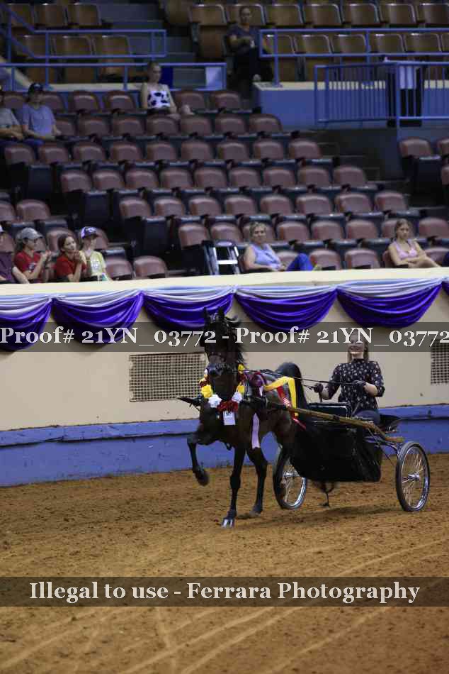 Proof 21YN_03772