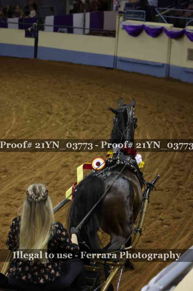Proof 21YN_03773