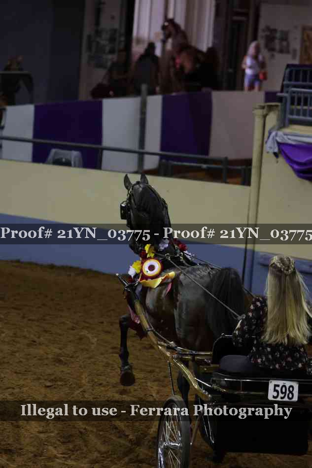 Proof 21YN_03775