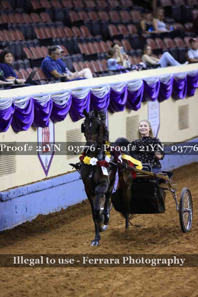 Proof 21YN_03776
