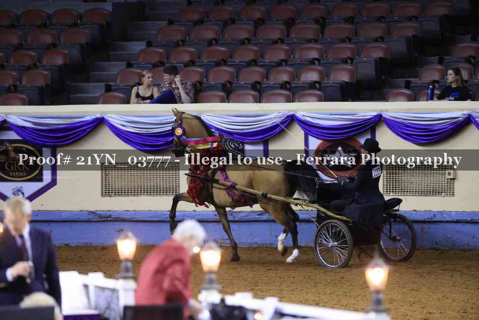 Proof 21YN_03777