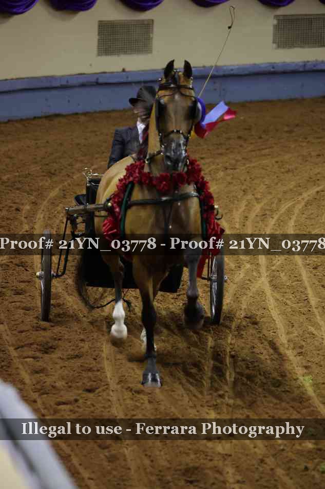 Proof 21YN_03778