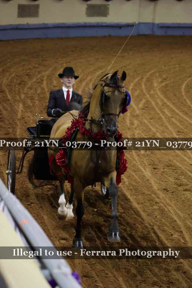 Proof 21YN_03779
