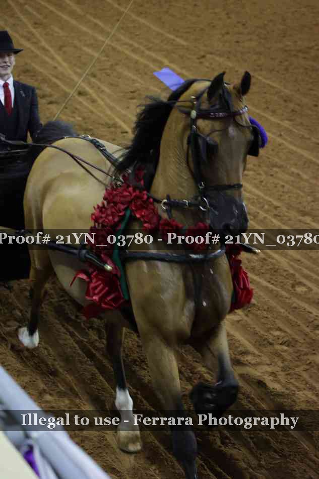 Proof 21YN_03780