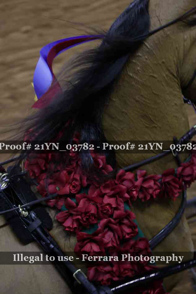 Proof 21YN_03782