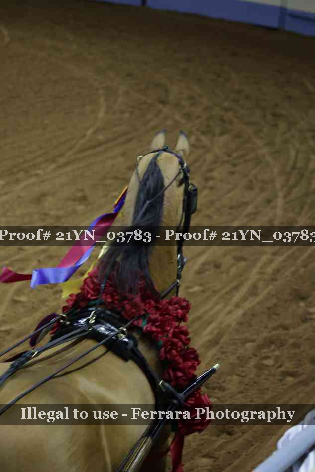 Proof 21YN_03783
