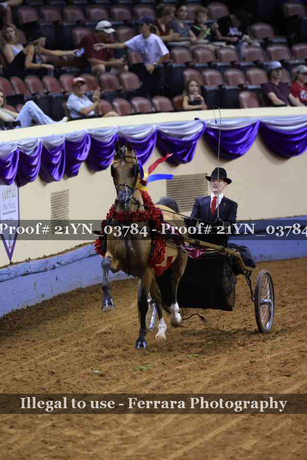 Proof 21YN_03784