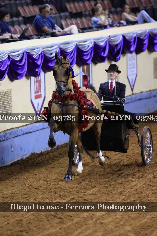 Proof 21YN_03785