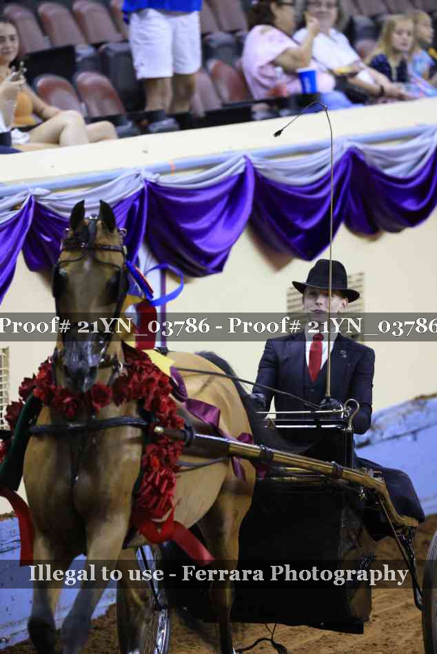 Proof 21YN_03786