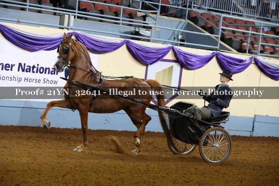 Proof 21YN_32641