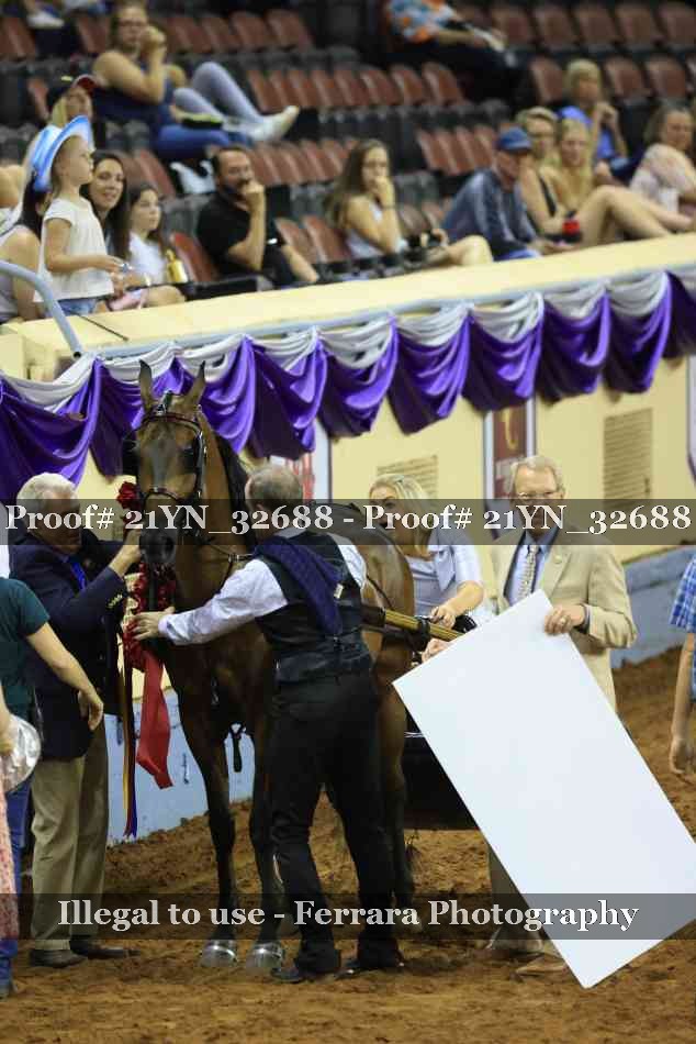 Proof 21YN_32688