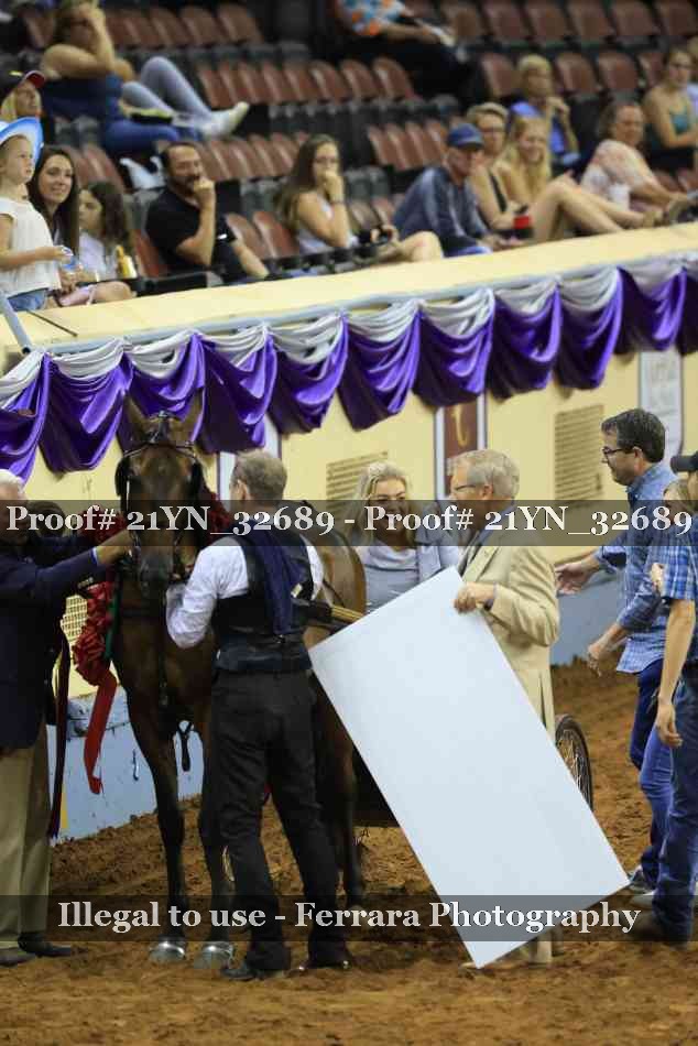 Proof 21YN_32689
