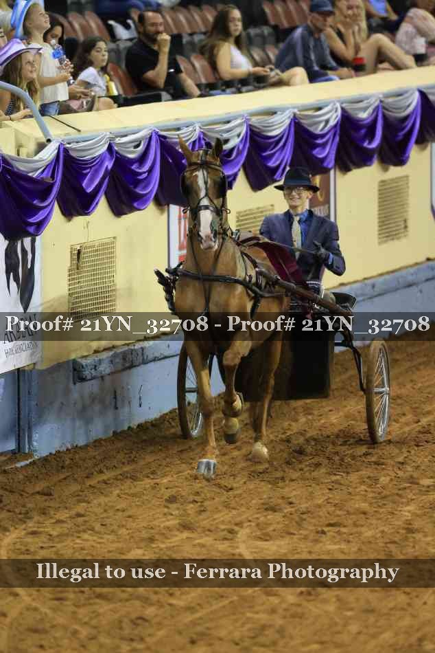 Proof 21YN_32708